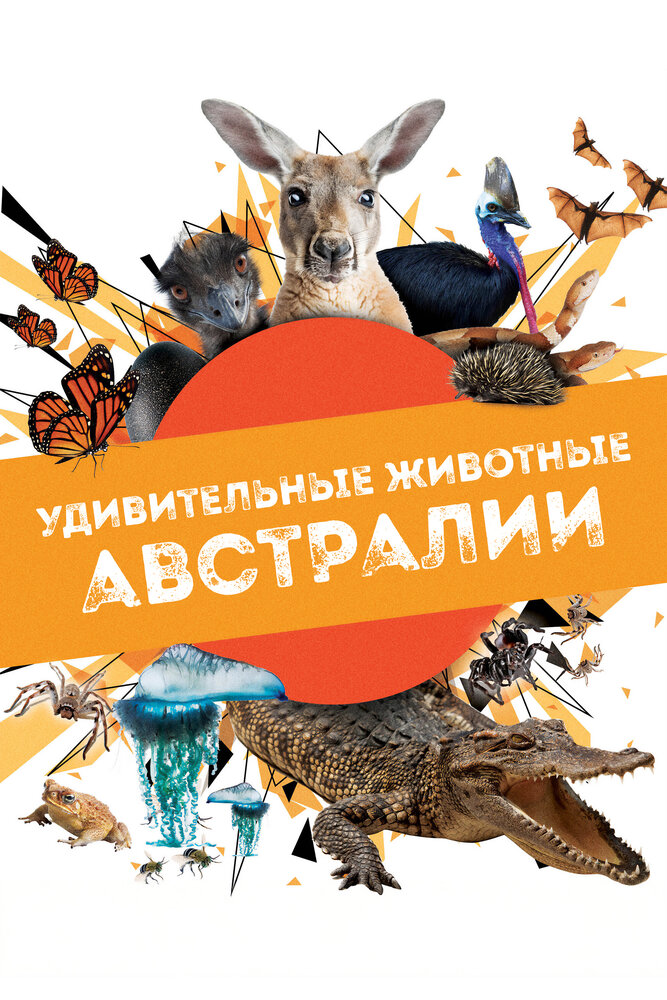 Удивительные животные Австралии